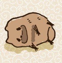 嗚呼、たぬきはもうだめです